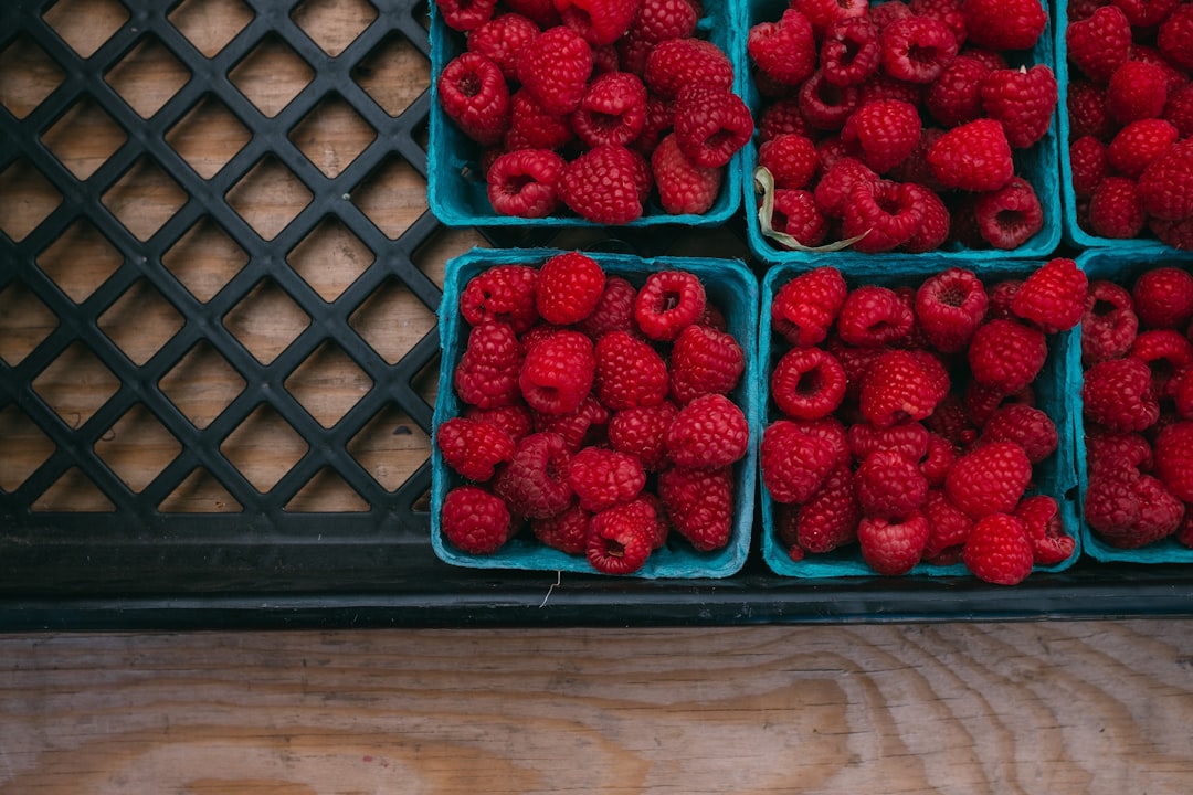 découvrez les bienfaits du framboisier, ce délicieux fruit rouge riche en vitamines et antioxydants. apprenez à le cultiver, à le cuisiner et à l'intégrer dans votre alimentation pour profiter de ses multiples vertus santé.