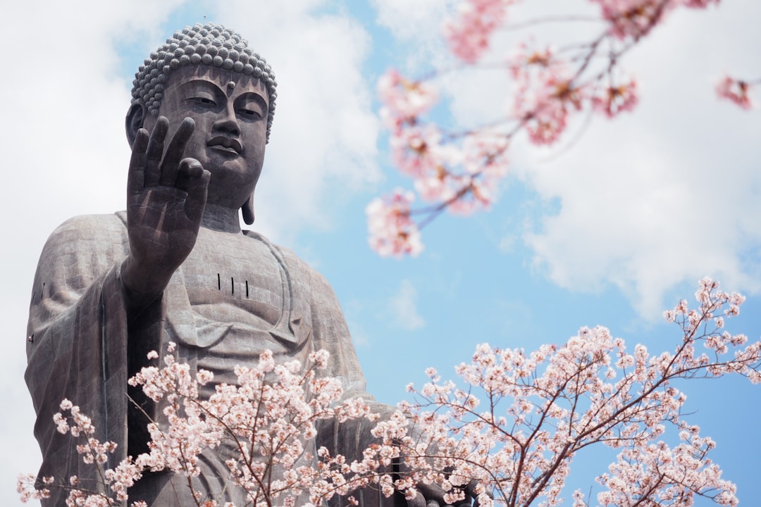 découvrez la beauté éphémère des cerisiers en fleurs, ou sakura, à travers un voyage fascinant en plein cœur de la culture japonaise. apprenez tout sur cette tradition emblématique, son symbolisme et les meilleures destinations pour admirer la floraison des sakura.