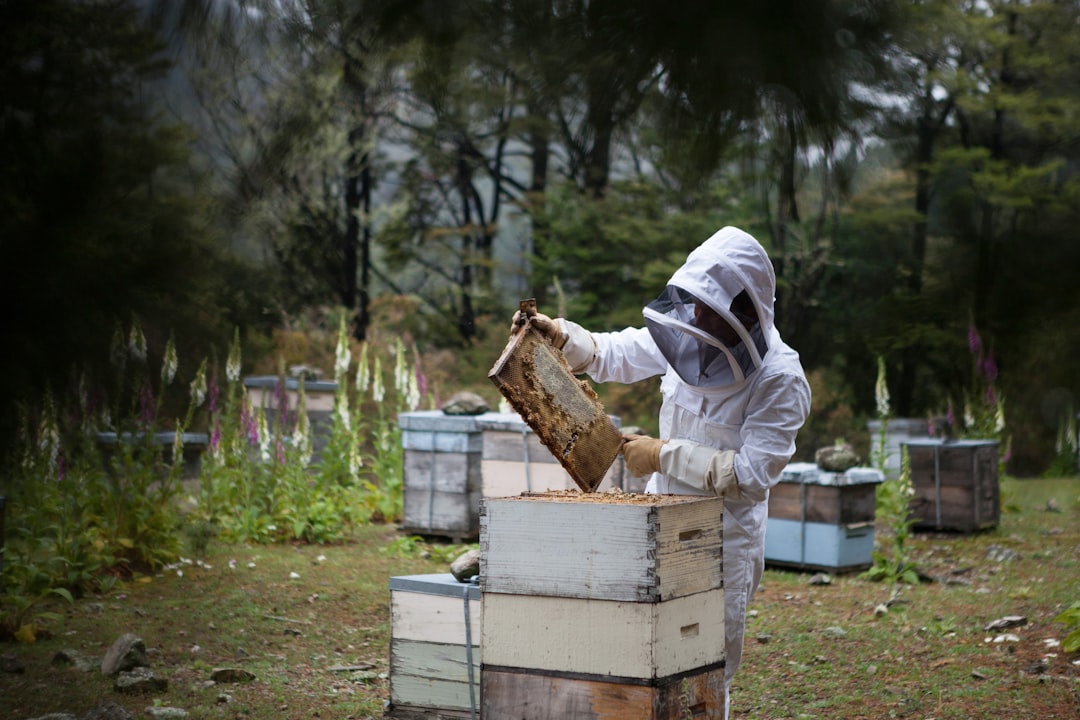 découvrez le monde fascinant du miel, un produit naturel aux saveurs variées et aux bienfaits bienfaisants. apprenez-en plus sur ses origines, ses types et son utilisation en cuisine et en médecines douces.