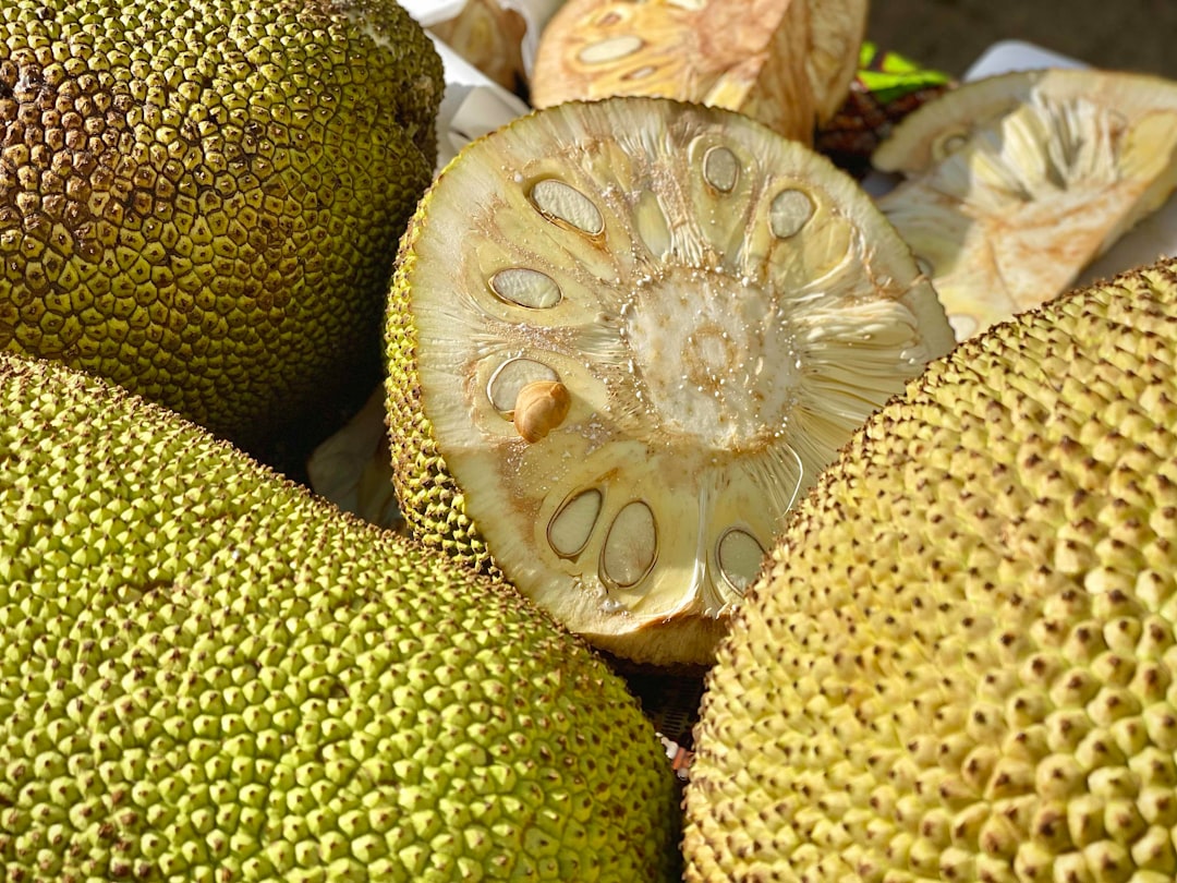 découvrez le jackfruit, ce fruit tropical aux multiples vertus. apprenez tout sur son goût unique, ses bienfaits pour la santé et comment l'intégrer dans vos recettes pour rehausser vos plats de saveurs exotiques.